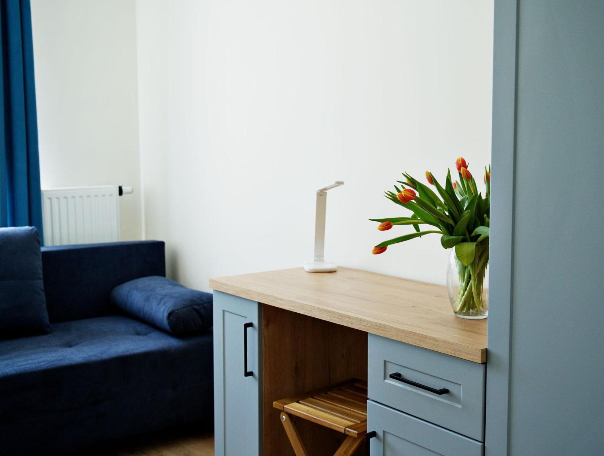 Apartment Bulwary 4 奥斯威辛 外观 照片